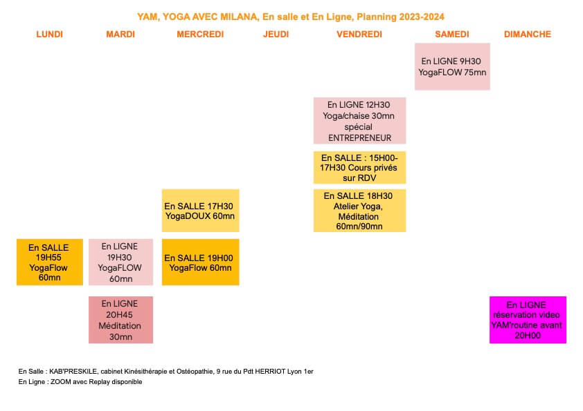 cours de Yoga rentrée 2023 2024 à Lyon et en Ligne